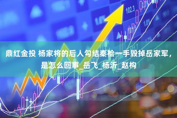 鼎红金投 杨家将的后人勾结秦桧一手毁掉岳家军，是怎么回事_岳飞_杨沂_赵构