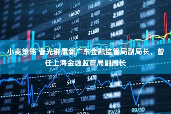 小麦策略 曹光群履新广东金融监管局副局长，曾任上海金融监管局副局长